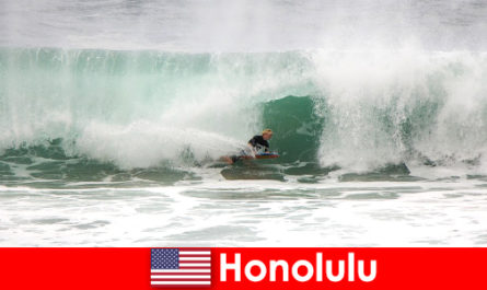 Island Paradise Honolulu ofrece olas perfectas para aficionados y surfistas profesionales.