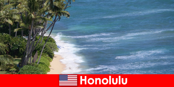 Experimente los principales lugares de interés de Honolulu con familias