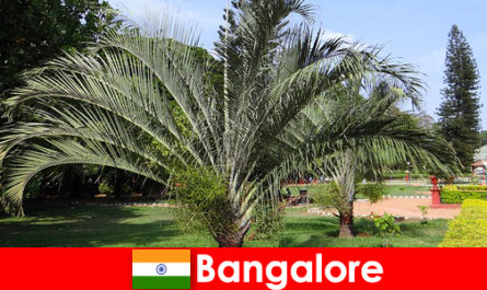 El clima agradable de Bangalore durante todo el año vale la pena un viaje para todos los extranjeros