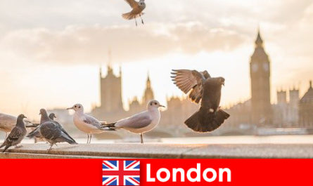 Lugares para visitar en Londres para visitantes internacionales de origen extranjero