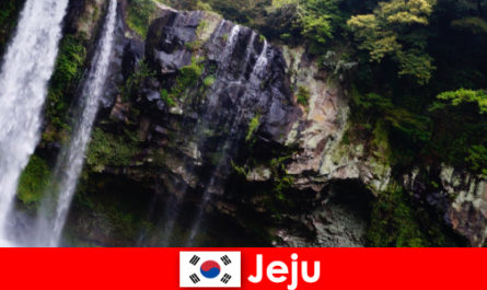 Jeju en Corea del Sur, la isla volcánica subtropical con bosques impresionantes para los extranjeros