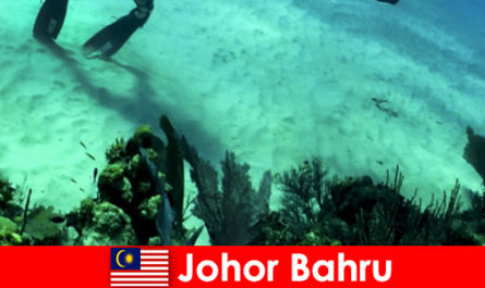 Actividades de aventura en Johor Bahru Buceo, escalada, senderismo y mucho más
