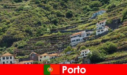 Destino de vacaciones en Oporto para amantes del vino de todo el mundo