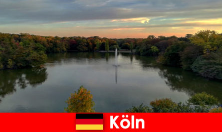 Viajes por la naturaleza a través de bosques, montañas y lagos en los parques naturales de Colonia, Alemania