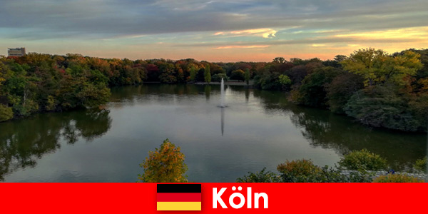 Viajes por la naturaleza a través de bosques, montañas y lagos en los parques naturales de Colonia, Alemania