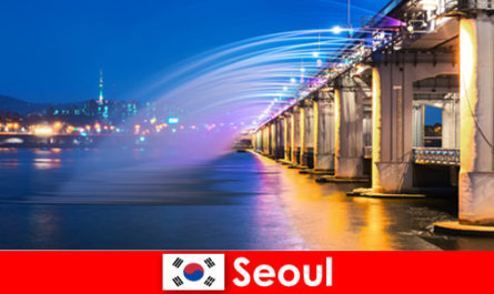 Seúl en Corea es una ciudad de luces que atrae a los extranjeros