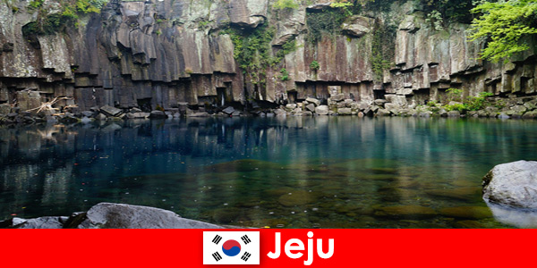 Exóticos viajes de larga distancia al hermoso paisaje volcánico de Jeju, Corea del Sur