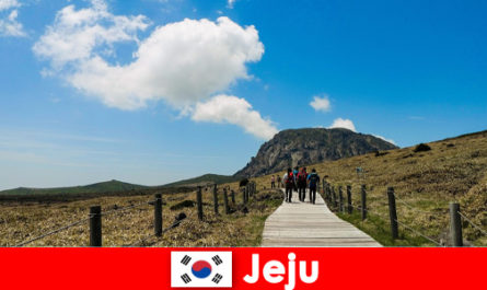 Los turistas caminan por el fantástico paisaje natural de Jeju, Corea del Sur