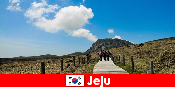 Los turistas caminan por el fantástico paisaje natural de Jeju, Corea del Sur