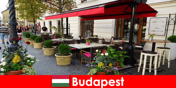 Destino de vacaciones cortas en Budapest Hungría para visitantes con un gusto por la gastronomía de lujo