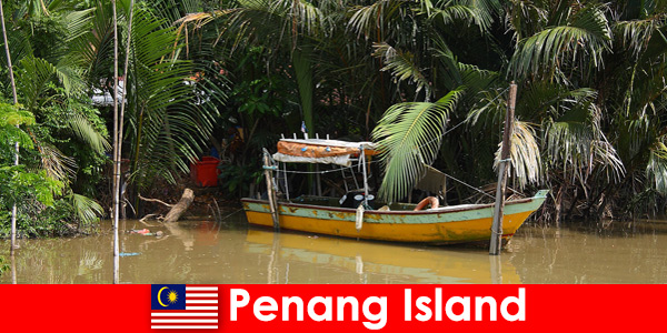 Viajes de larga distancia para excursionistas a través de la jungla de la isla de Penang en Malasia