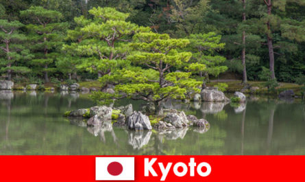Los jardines japoneses invitan a visitantes extranjeros a relajantes paseos en Kioto