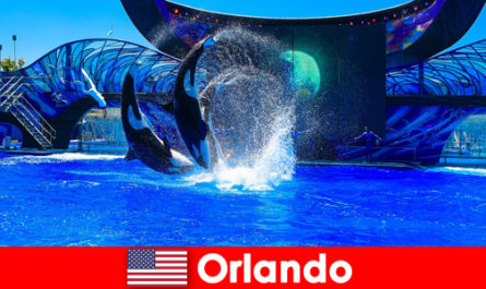 Reservar viajes individuales para extranjeros en Orlando Estados Unidos