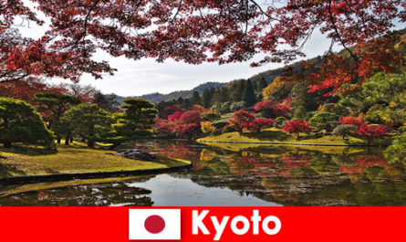 Viaje al extranjero a Kioto, Japón, para ver el famoso color del follaje otoñal