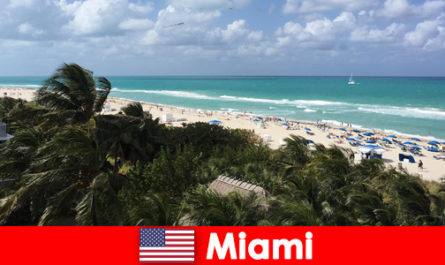 Las olas de arena de las palmeras esperan a los vacacionistas a largo plazo en el paradisíaco Miami Estados Unidos
