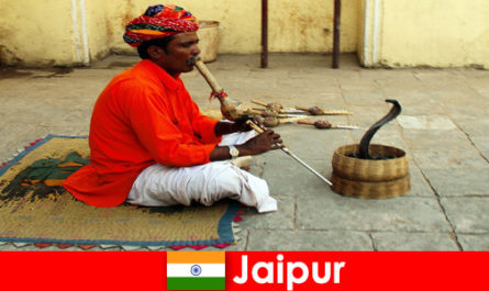 En Jaipur, India, los vacacionistas experimentan el baile de serpientes y el entretenimiento en las concurridas calles.