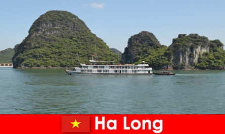 Los cruceros de varios días para grupos turísticos son muy populares en Ha Long Vietnam