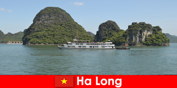 Los cruceros de varios días para grupos turísticos son muy populares en Ha Long Vietnam