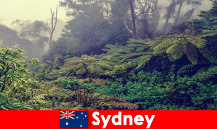 Viaje de exploración a Sydney Australia en el impresionante mundo de los parques nacionales