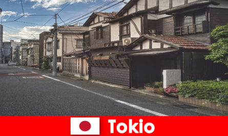 Viaje de ensueño a los barrios más fascinantes de Tokio, Japón