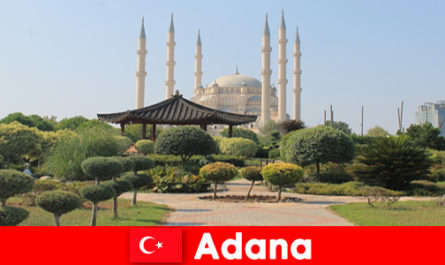 Viaje educativo histórico para viajeros del extranjero a Adana Turquía