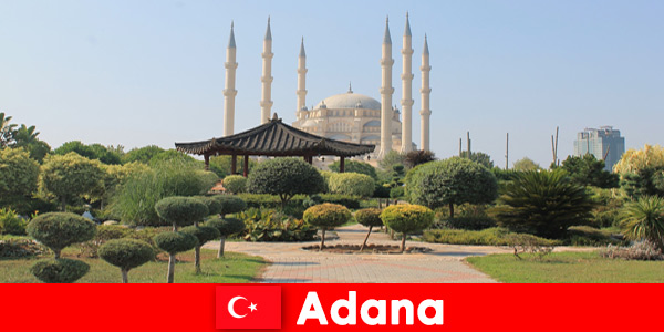 Viaje educativo histórico para viajeros del extranjero a Adana Turquía