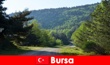 Bursa Turquía ofrece excursiones organizadas para los turistas que hacen senderismo en la hermosa naturaleza