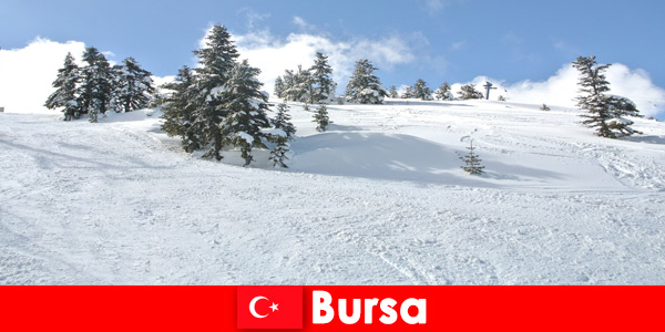 Viaje de invierno para familias en la zona de esquí más grande de Bursa Turquía