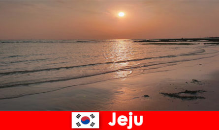 Destino de ensueño para bodas e invitados extranjeros en Jeju, Corea del Sur