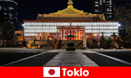 Viaje al extranjero para invitados a Japón Experimente la cultura de Tokio en el lugar