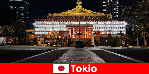 Viaje al extranjero para invitados a Japón Experimente la cultura de Tokio en el lugar