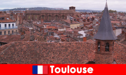 Experimente vistas encantadoras en la perfecta Toulouse Francia
