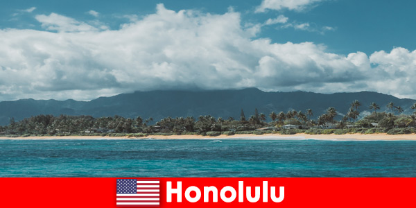 Viajes de buceo para veraneantes deportivos en Honolulu Estados Unidos una experiencia única