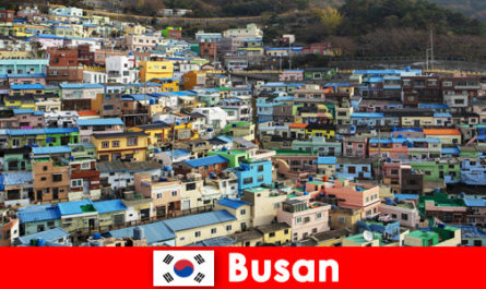 Viaje al extranjero a Busan Corea del Sur con cultura gastronómica en cada esquina por poco dinero