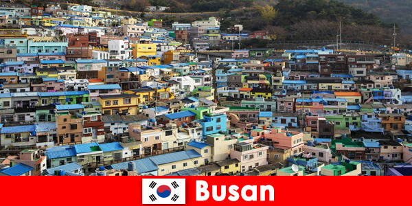 Viaje al extranjero a Busan Corea del Sur con cultura gastronómica en cada esquina por poco dinero
