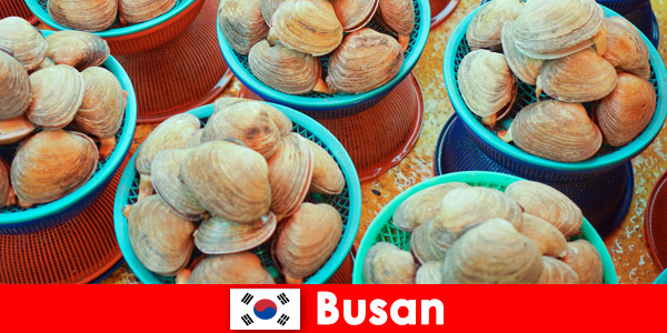 Busan, Corea del Sur, tiene mariscos frescos todos los días en el mercado