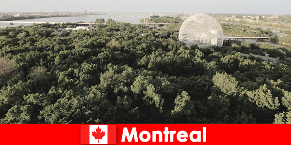 Los mochileros exploran la naturaleza salvaje a pie en Montreal, Canadá