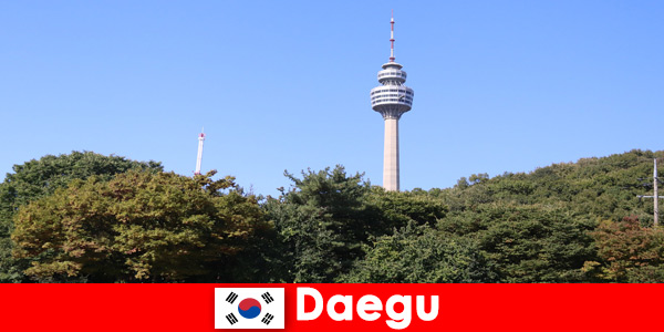 La hermosa ciudad de Daegu, Corea del Sur, ama a los turistas de todo el mundo