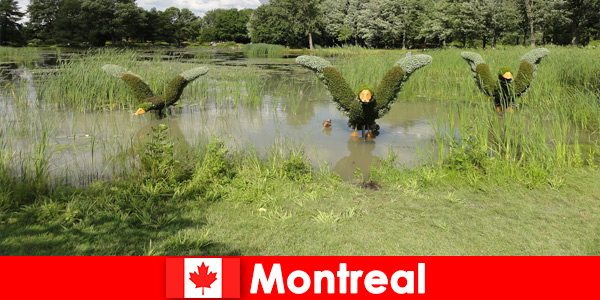 Descubre la naturaleza y los animales raros en Montreal Canadá