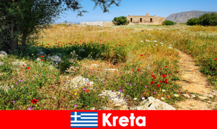 Comida mediterránea saludable con experiencias en la naturaleza esperan a los turistas en Creta Grecia