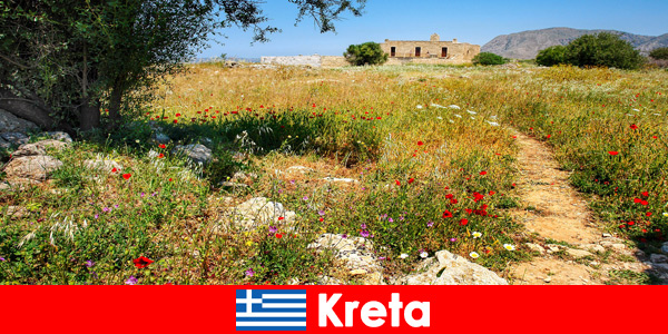 Comida mediterránea saludable con experiencias en la naturaleza esperan a los turistas en Creta Grecia