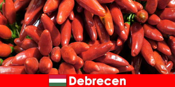 La verdura más famosa que se encuentra en casi todos los platos en Debrecen Hungría