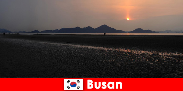 Experimente la naturaleza virgen y muchas actividades en Busan Corea del Sur