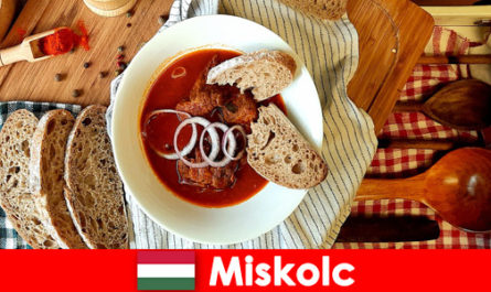 Los huéspedes en Miskolc Hungría disfrutan de las localidades y la cultura locales