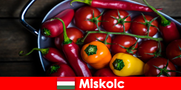 Miskolc en Hungría ofrece comida saludable y fresca con productos regionales