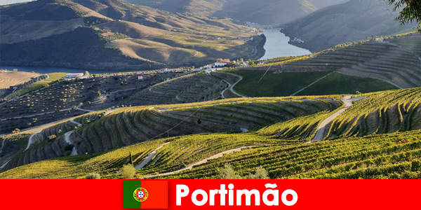 A los huéspedes les encanta la degustación de vinos y las delicias en las montañas de Portimão Portugal
