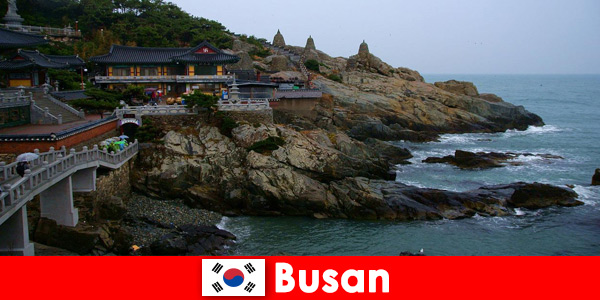 Busan Corea del Sur una ciudad para enamorarse