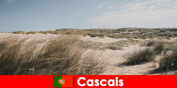 Viento, sol y mar ofrecen una tranquilidad fantástica en Cascais Portugal