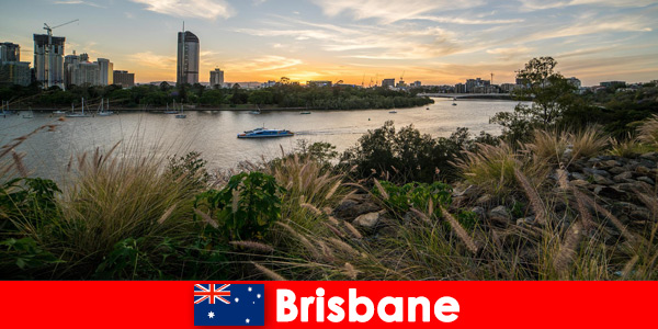 Brisbane Australia ofrece muchas opciones para el presupuesto adecuado