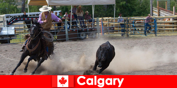 Los lugareños y los visitantes de todas partes adoran los rodeos en Calgary, Canadá